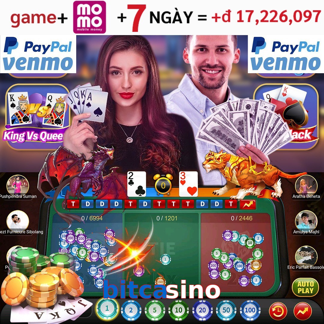 bitcasino
