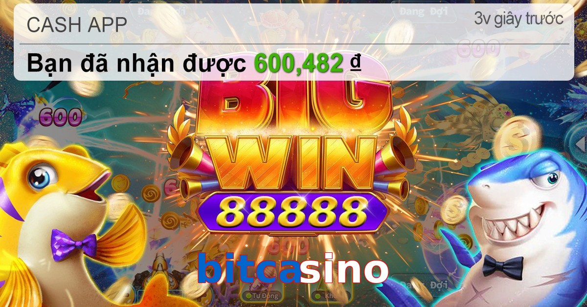 bitcasino
